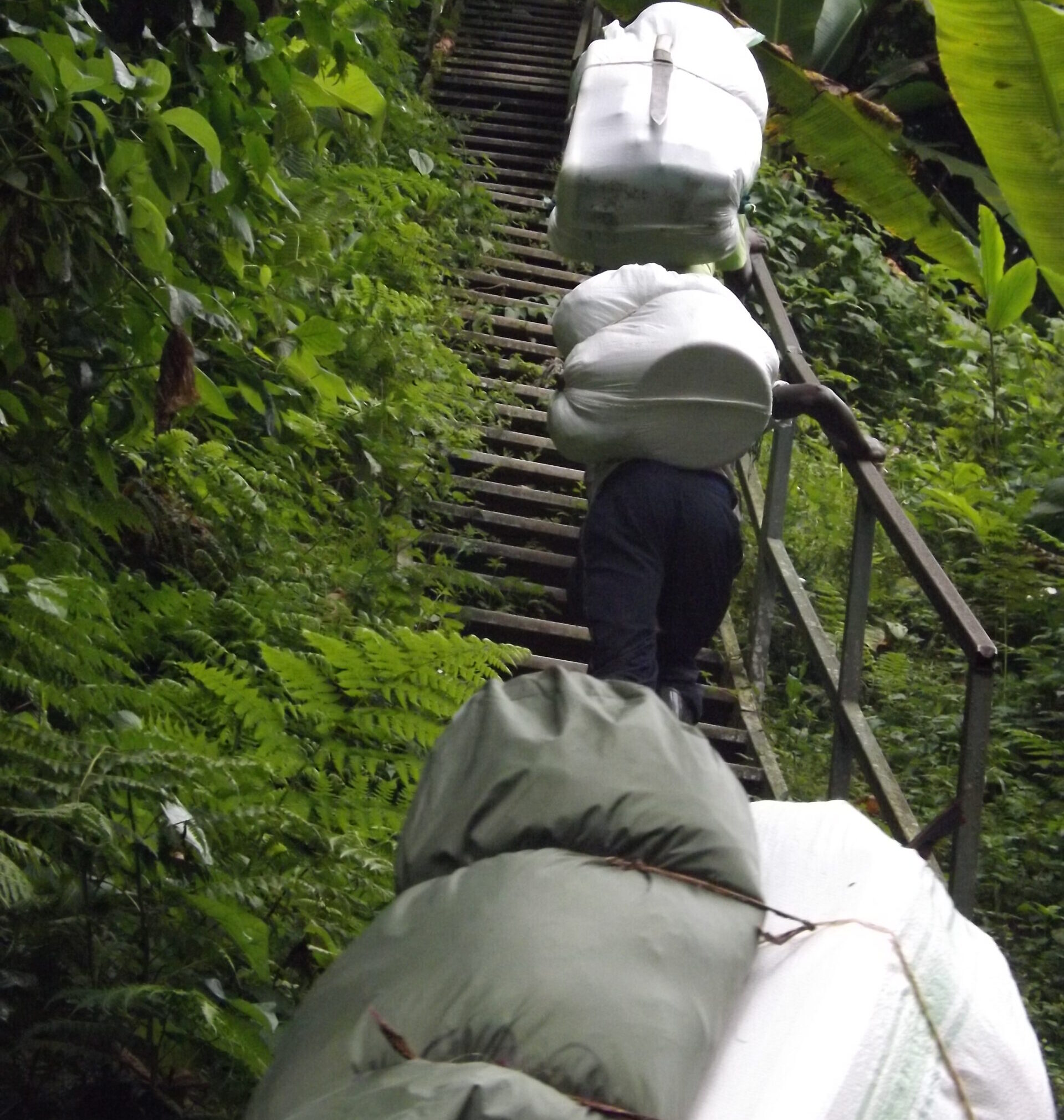 Mt Rwenzori porters