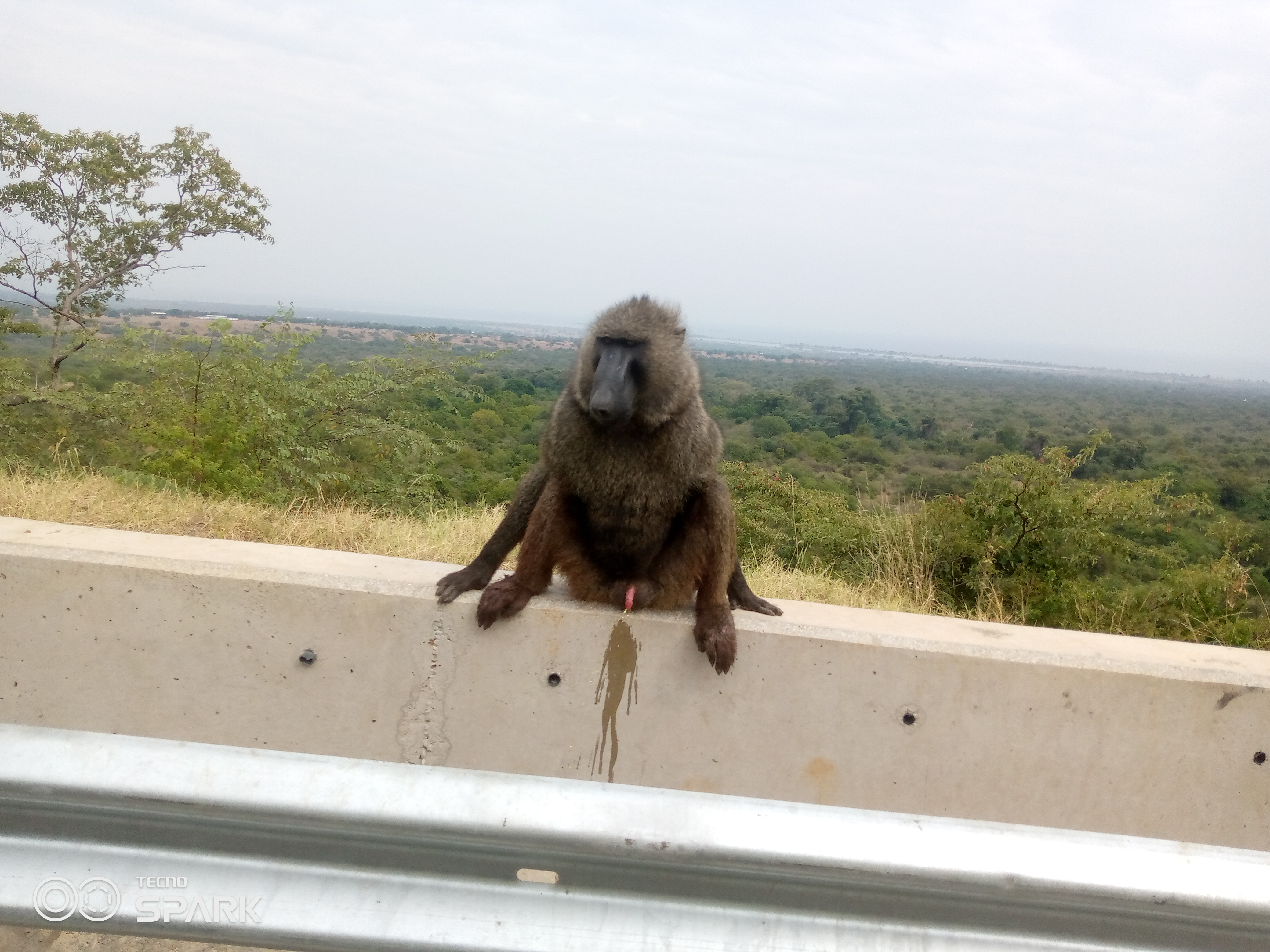 IMG_20220720_103019_571