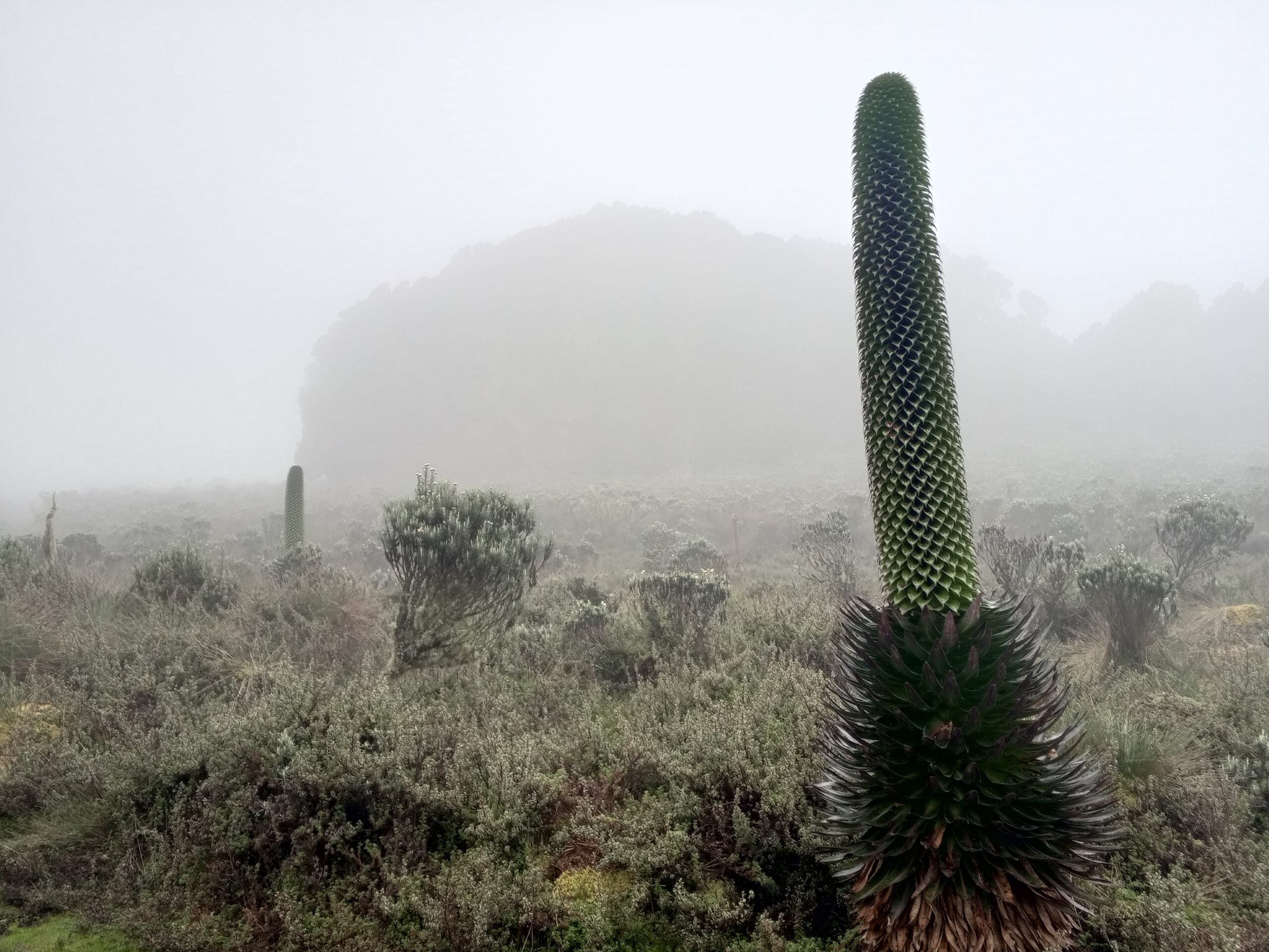 IMG_20240109_134007_559