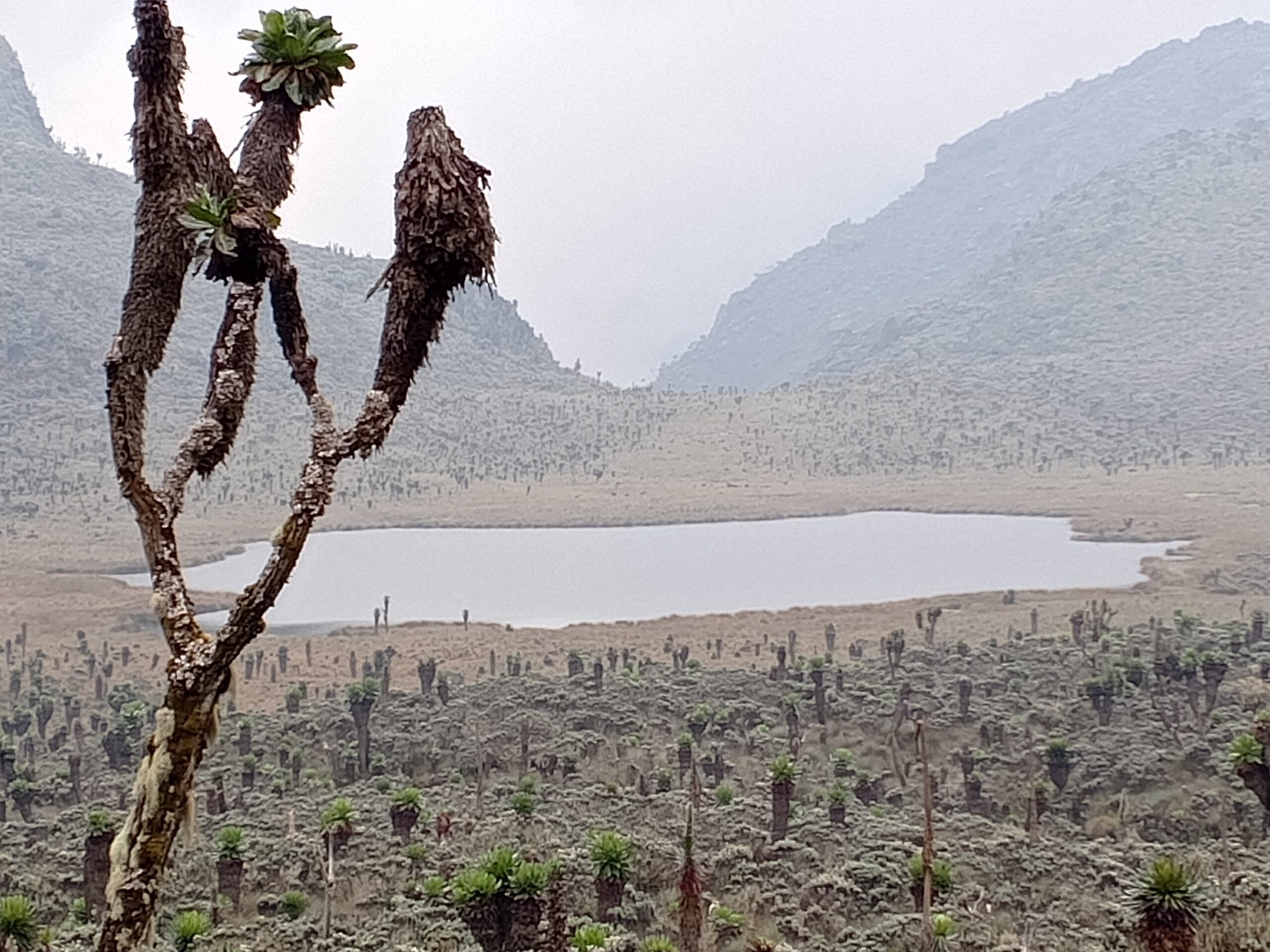 IMG_20240110_115644_387