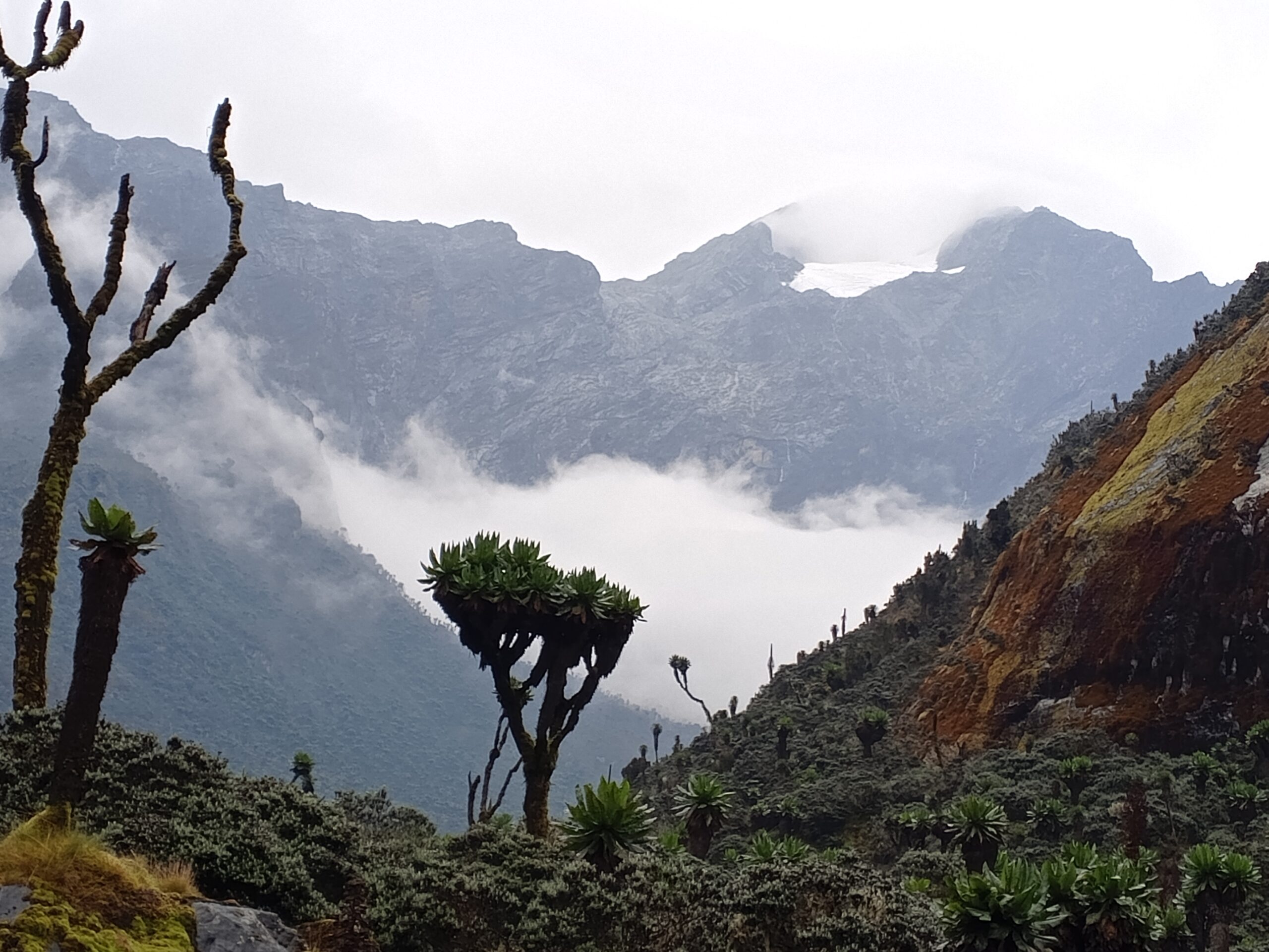 IMG_20240111_160741_067