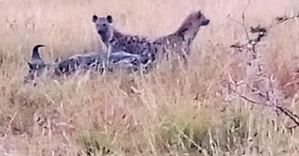 IMG_20240130_071249_668