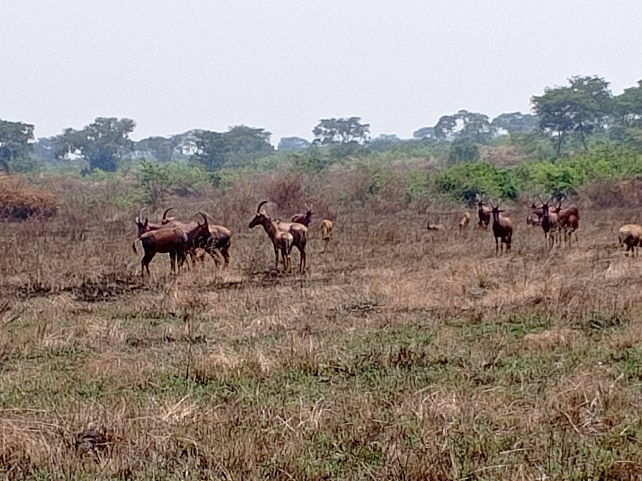 IMG_20240131_122443_553