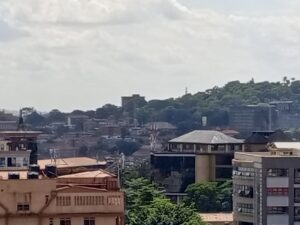 IMG_20240621_141615_666