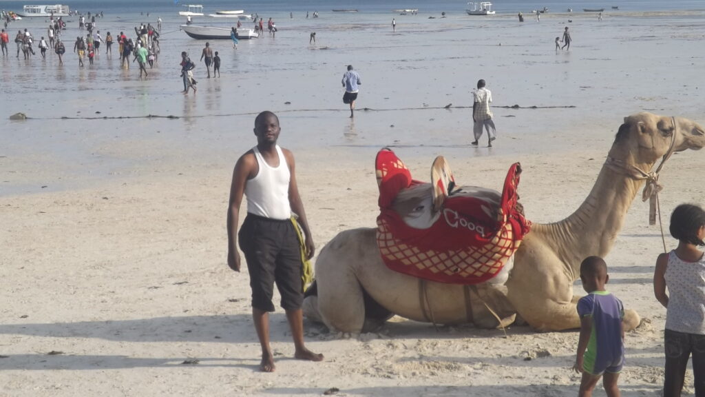 Mombasa Public Beach