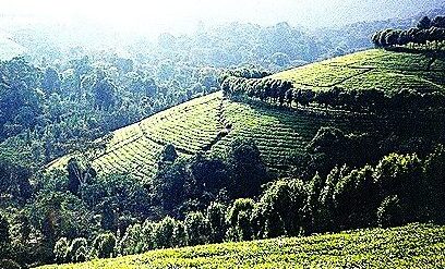 Scenic Hiily Burundi